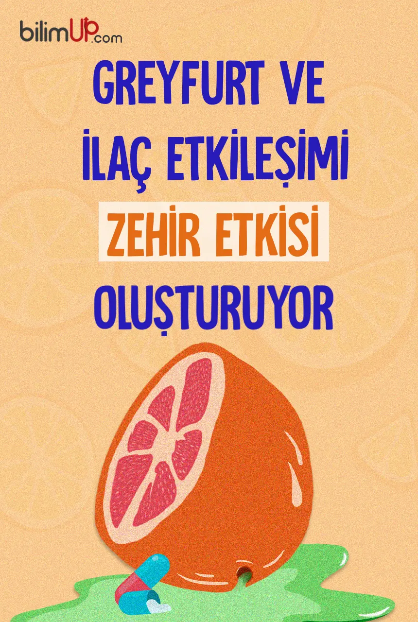 Greyfurt ve İlaç Etkileşimi Zehir Etkisi Oluşturuyor!