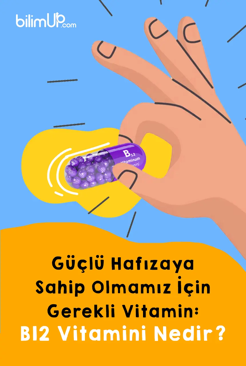 Güçlü Hafızaya Sahip Olmamız İçin Gerekli Vitamin: B12 Vitamini Nedir?
