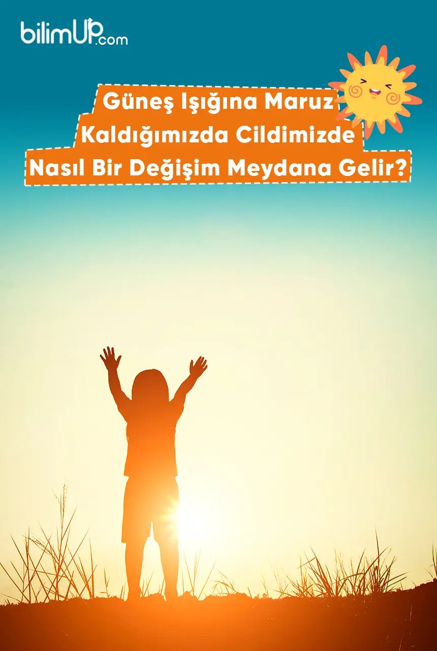Güneş Işığına Maruz Kaldığımızda Cildimizde Nasıl Bir Değişim Meydana Gelir?