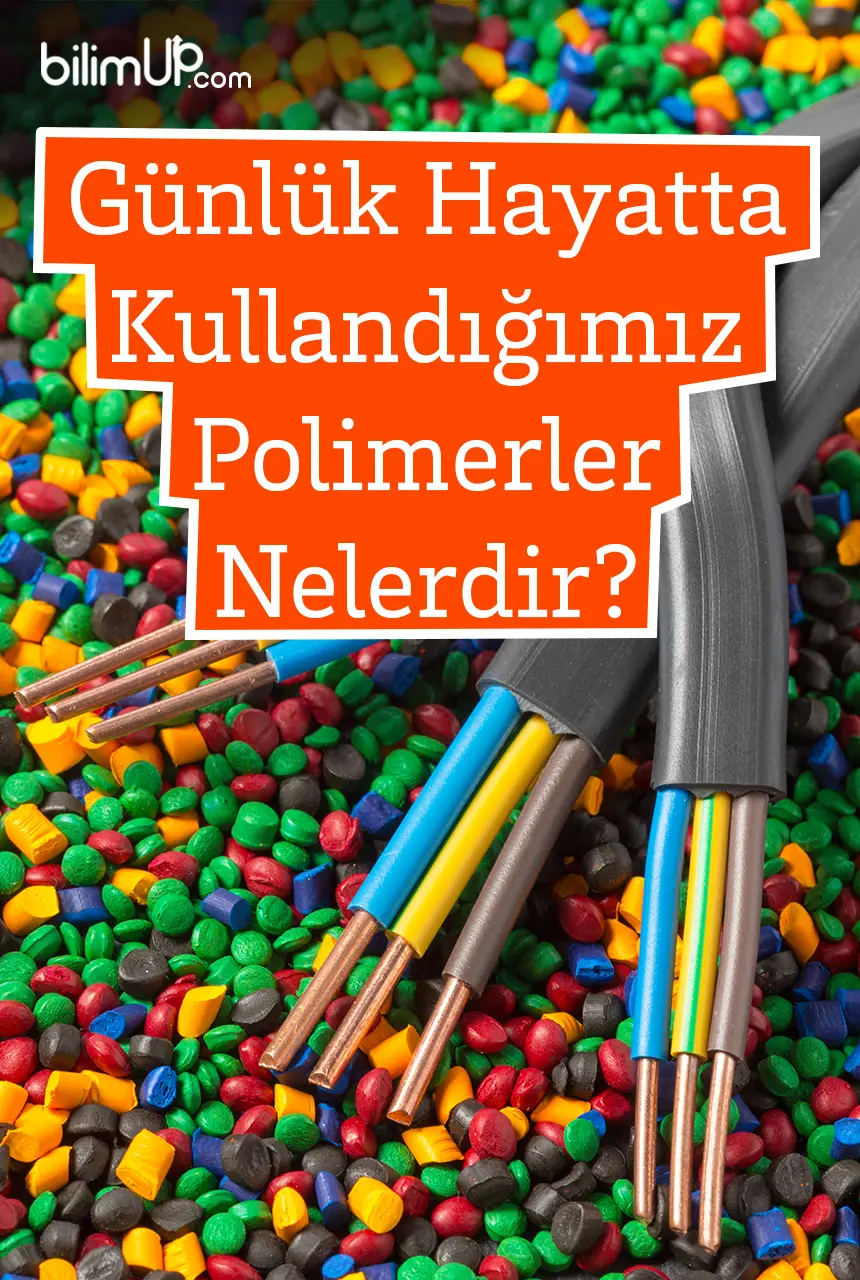 Günlük Hayatta Kullandığımız Polimerler Nelerdir?
