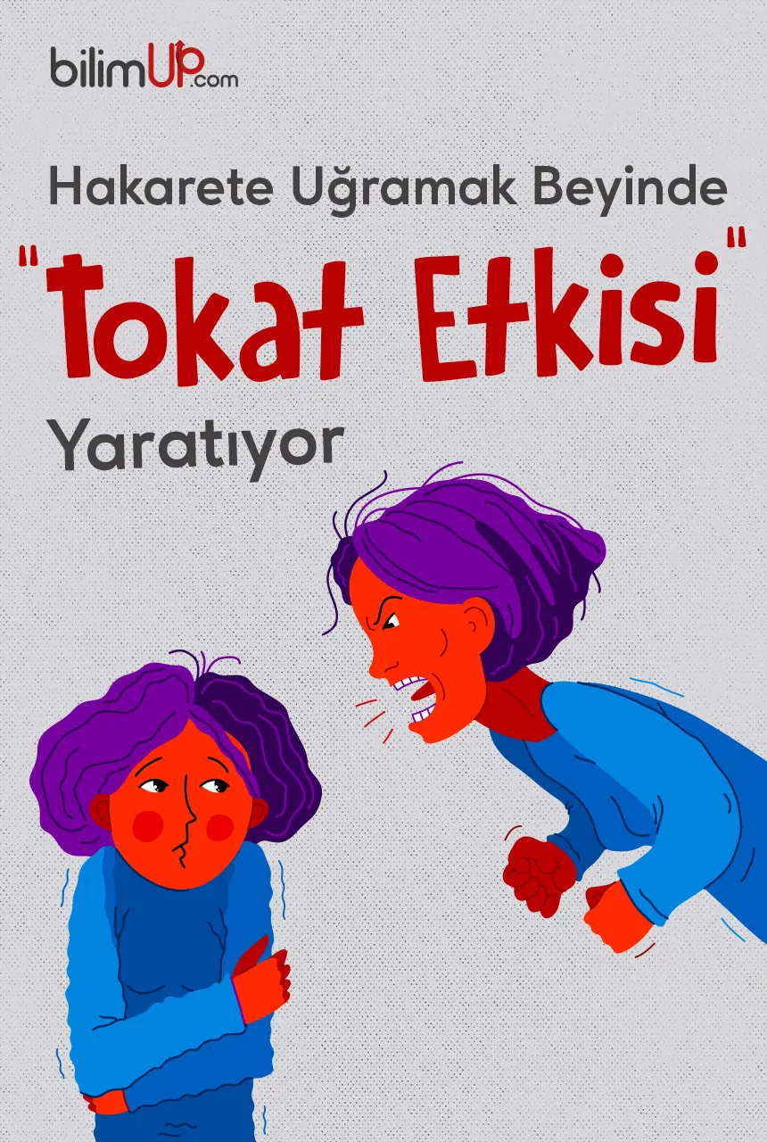 Hakarete Uğramak Beyinde 