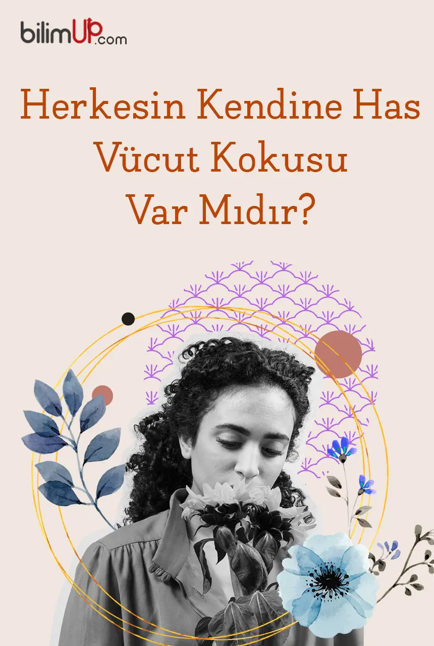 Herkesin Kendine Has Vücut Kokusu Var Mıdır?