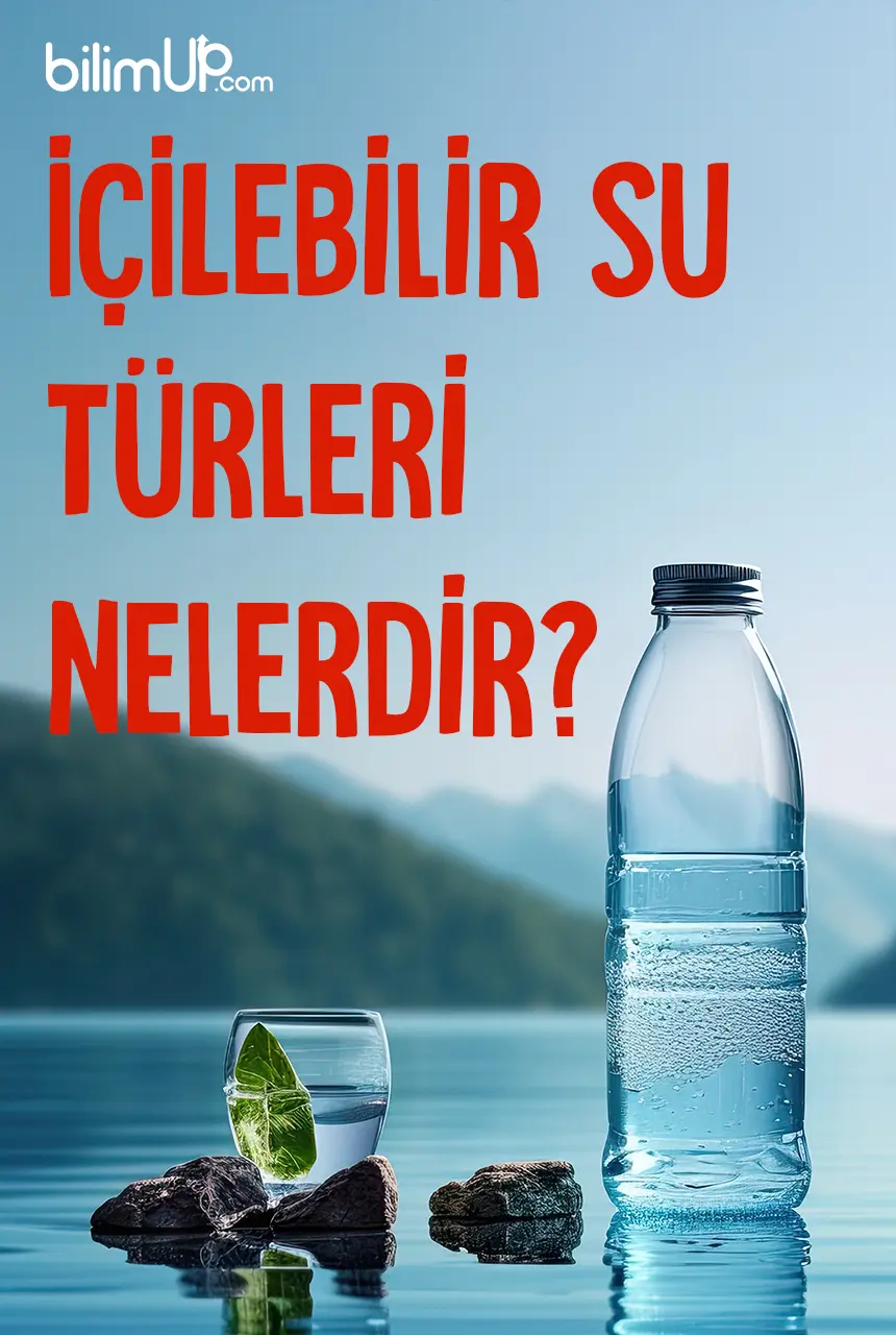 İçilebilir Su Türleri Nelerdir?