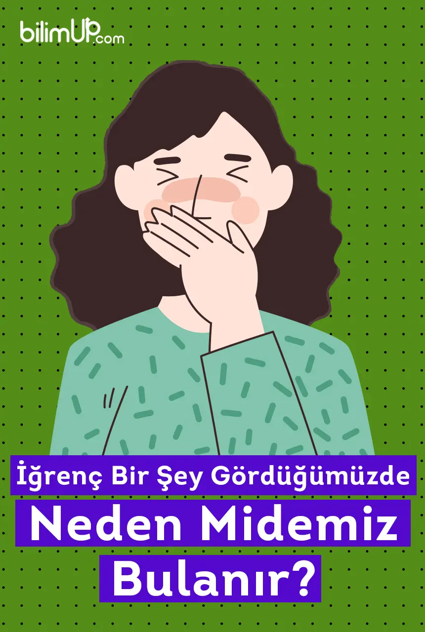 İğrenç Bir Şey Gördüğümüzde Midemiz Neden Bulanır?