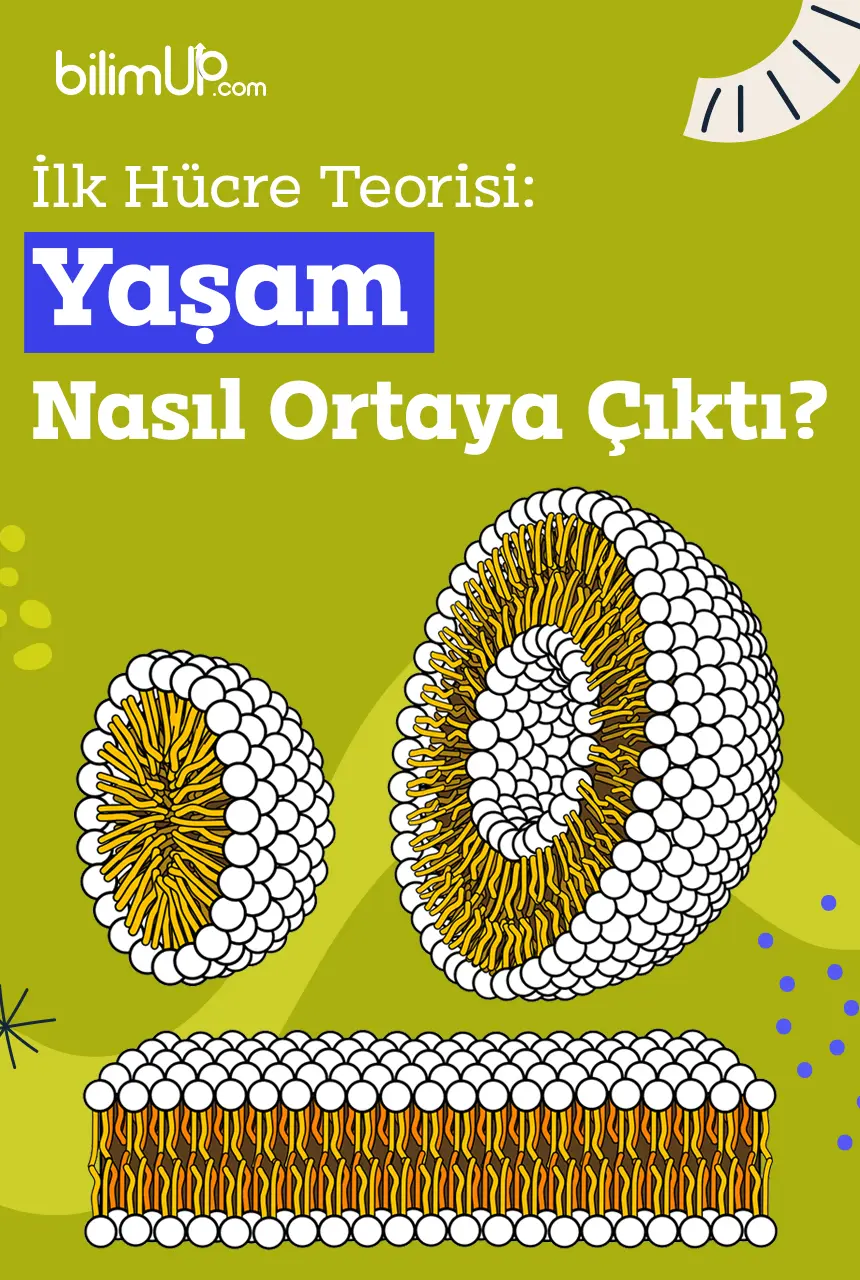 İlk Hücre Teorisi: Yaşam Nasıl Ortaya Çıktı?