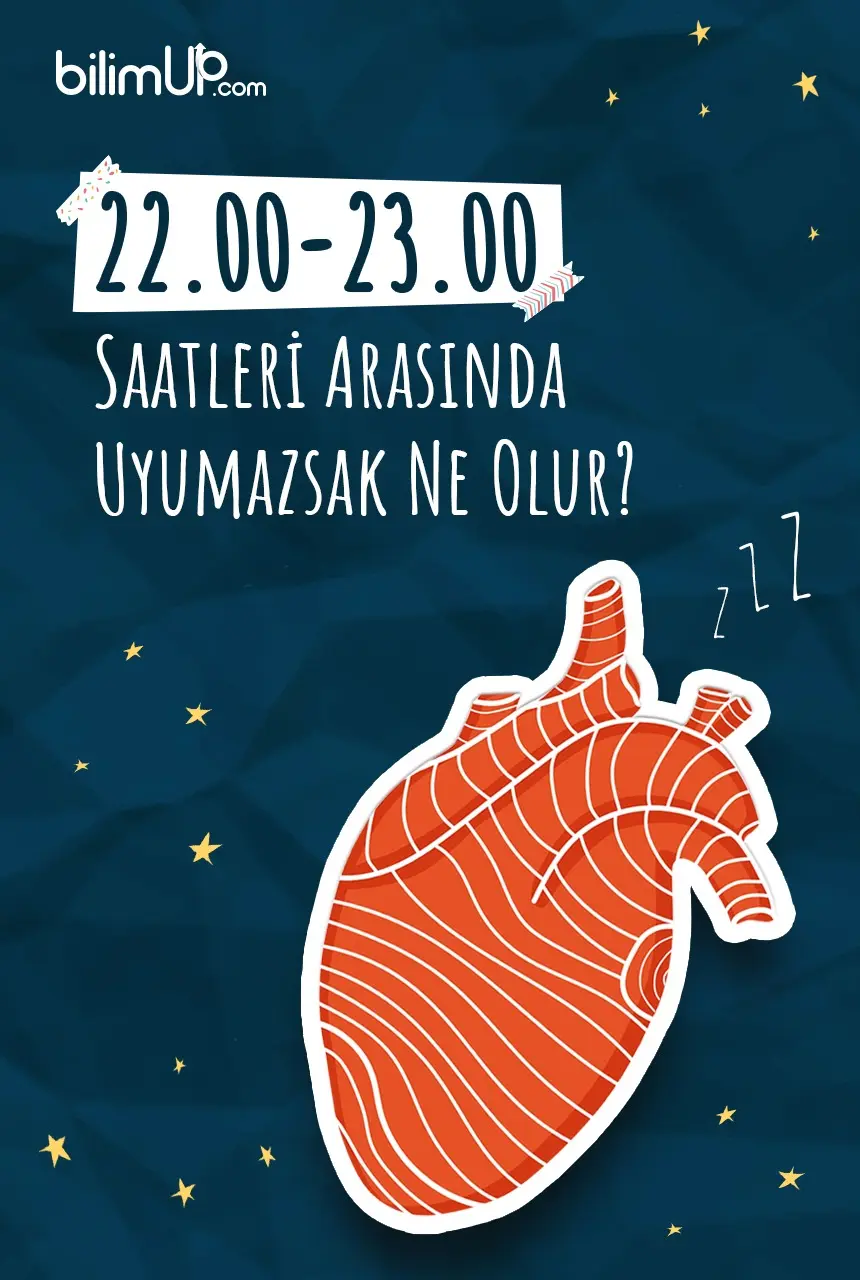 Saat 22.00 ile 23.00 Arasında Uyumazsak Ne Olur?