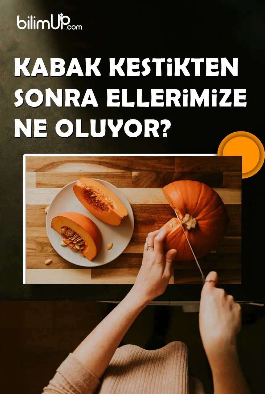 Kabak Kestikten Sonra Ellerimize Ne Oluyor?