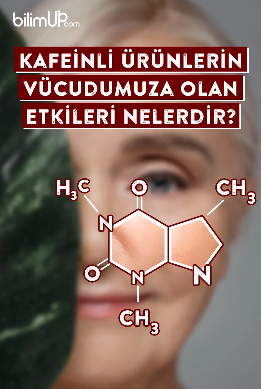 Kafeinli Ürünlerin Vücudumuza Olan Etkileri Nelerdir?
