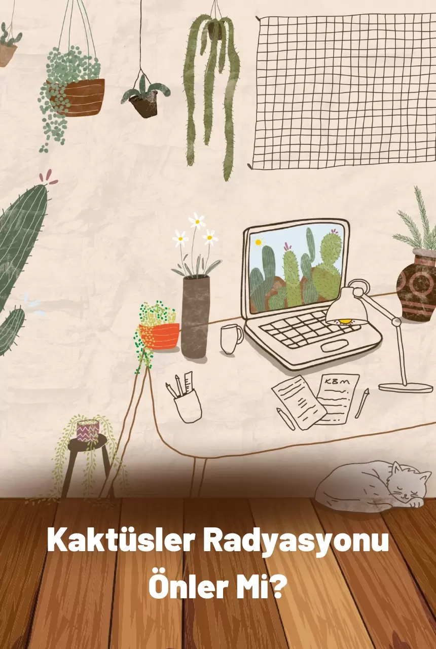 Kaktüsler Radyasyonu Önler Mi?