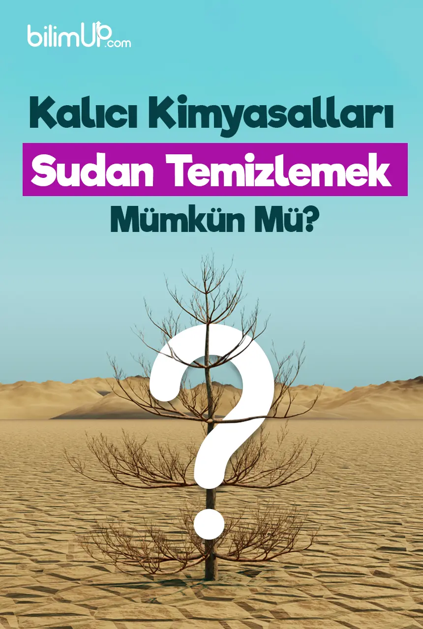 Kalıcı Kimyasalları Sudan Temizlemek Mümkün Mü?