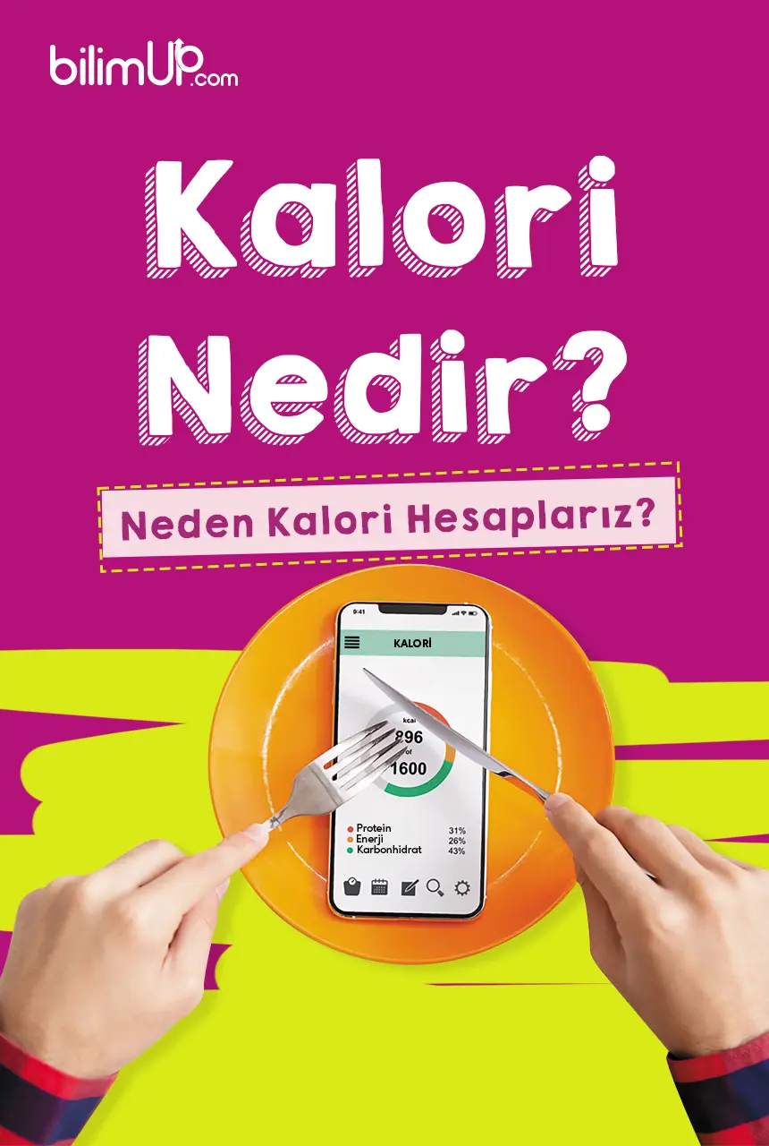 Kalori Nedir? Neden Kalori Hesaplarız?