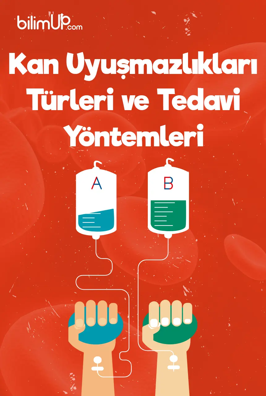 Kan Uyuşmazlıkları, Türleri Ve Tedavi Yöntemleri