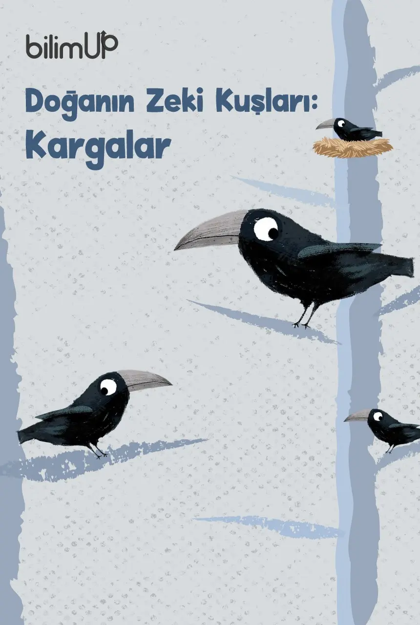 Doğanın Zeki Kuşları: Kargalar