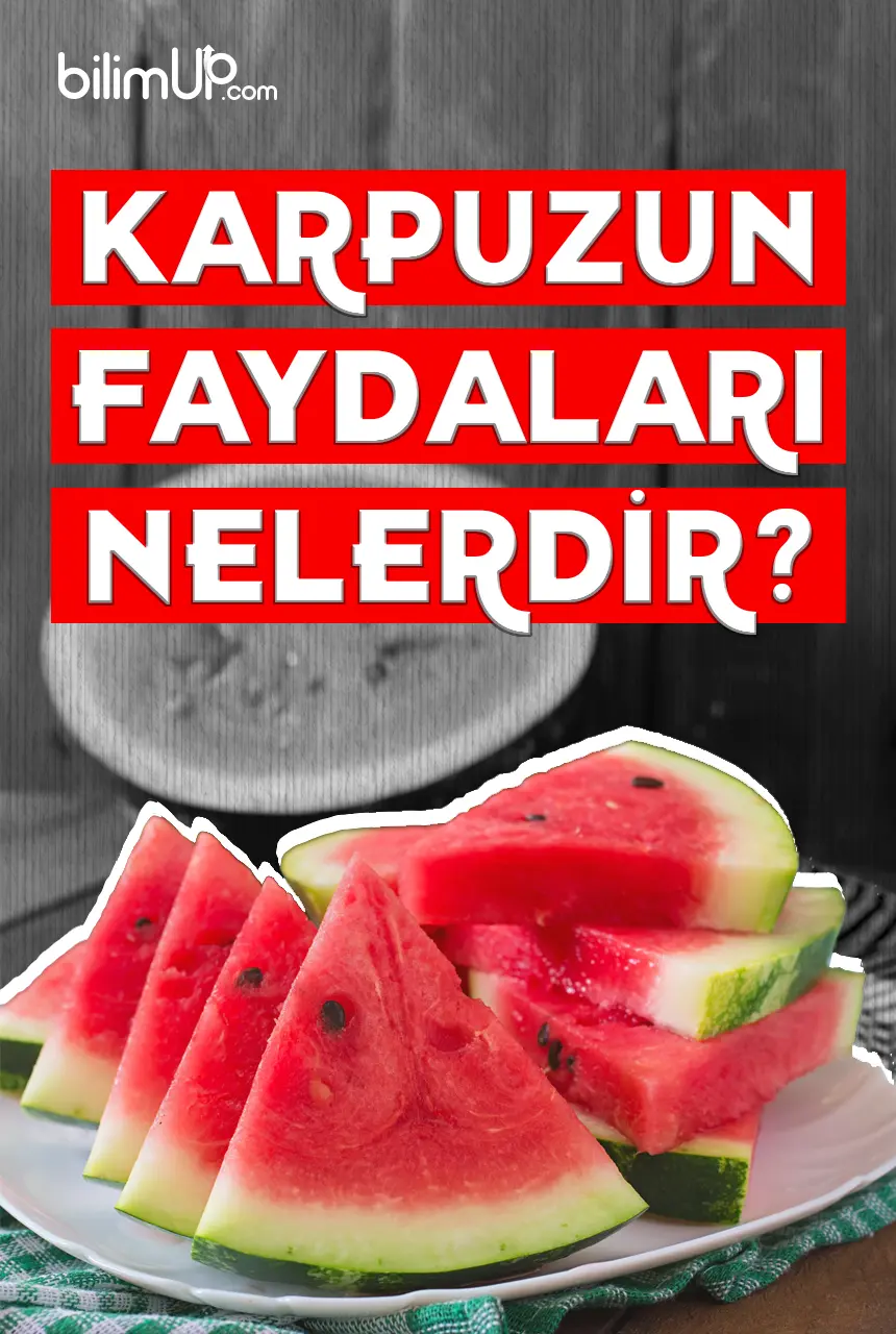 Karpuzun Faydaları Nelerdir?