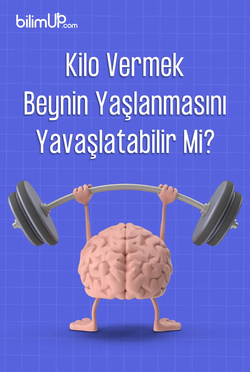Kilo Vermek Beynin Yaşlanmasını Yavaşlatabilir Mi?