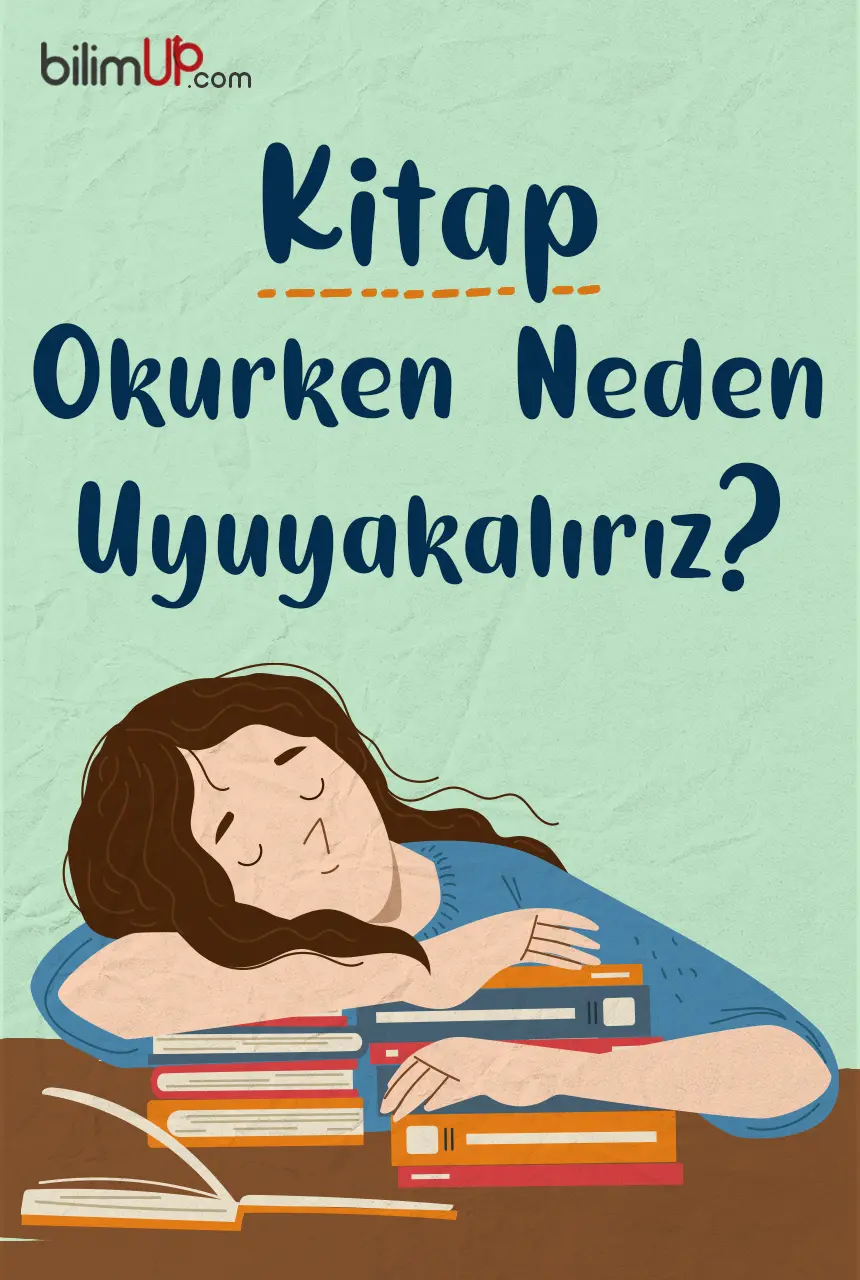 Kitap Okurken Neden Uyuyakalırız?