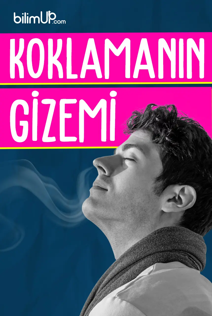Koklamanın Gizemi