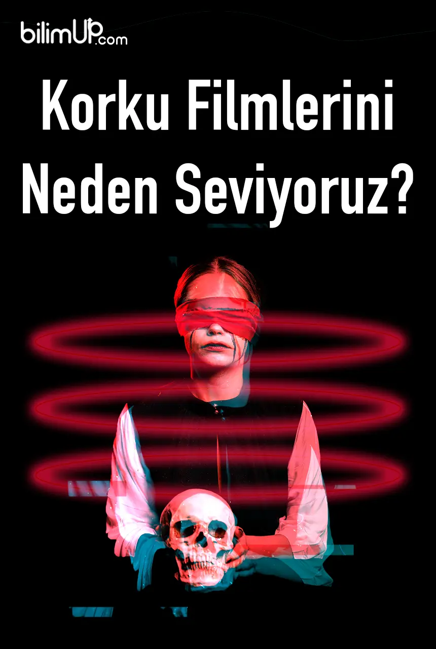 Korku Filmlerini Neden Seviyoruz?