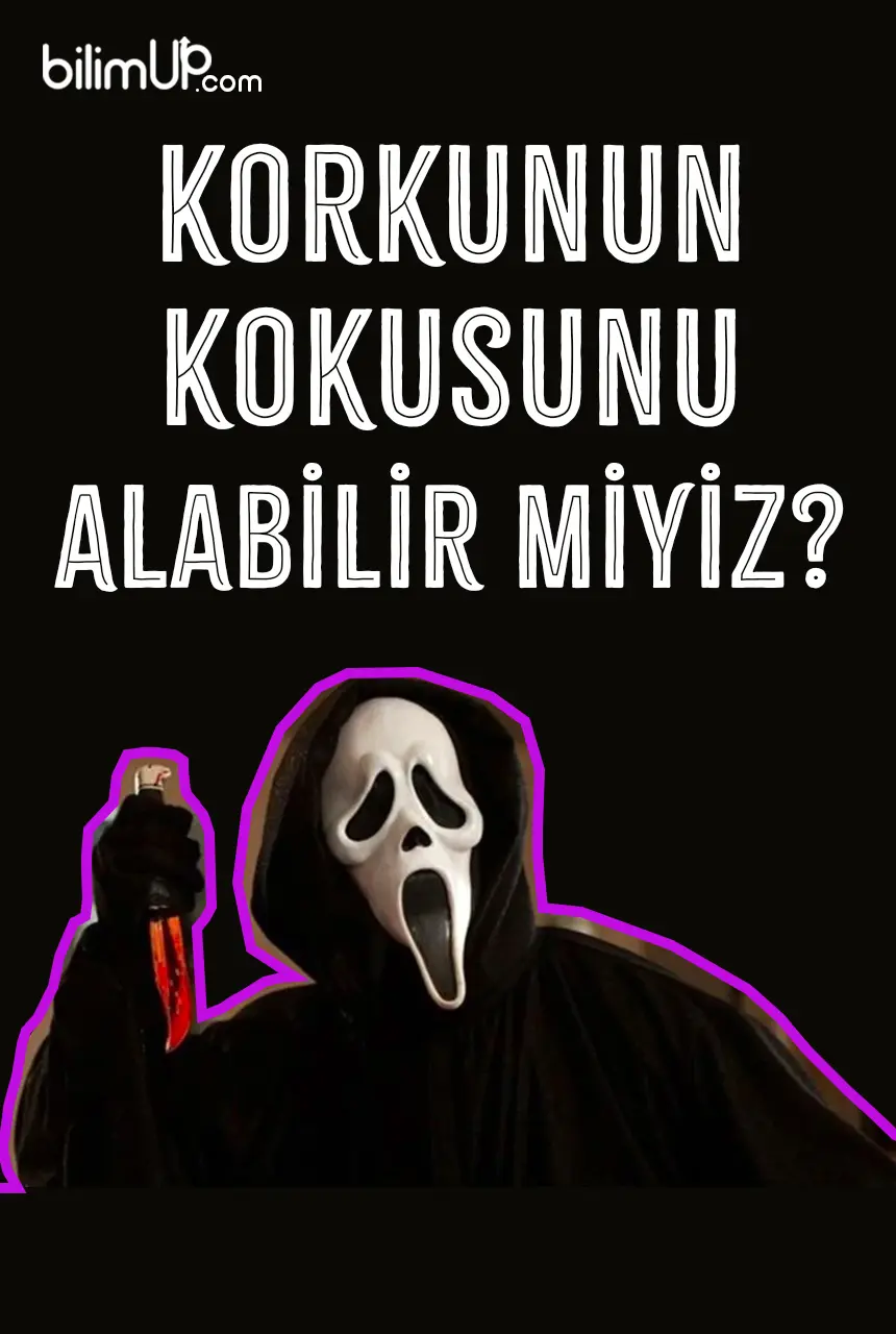 Korkunun Kokusunu Alabilir Miyiz?