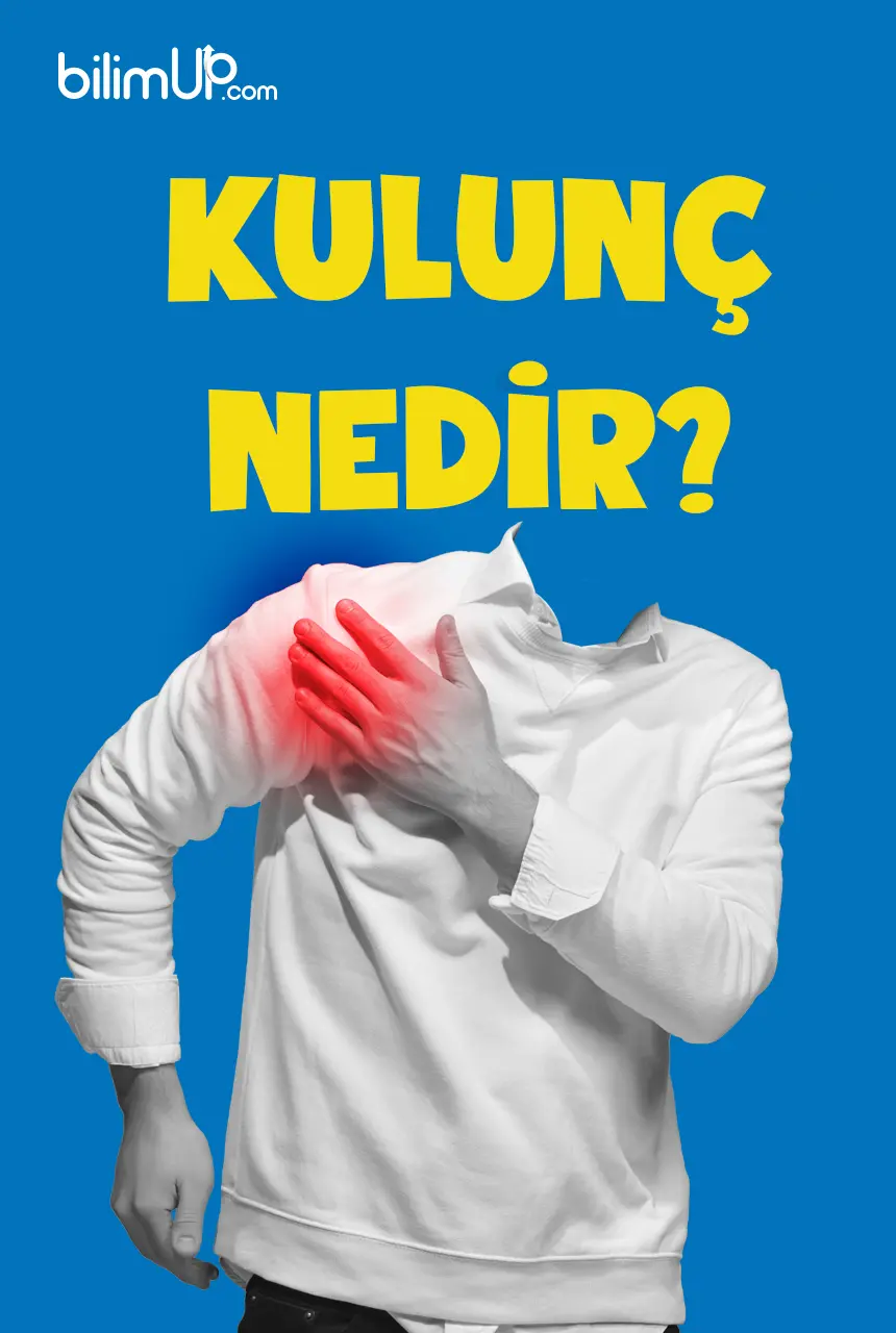 Kulunç Nedir?