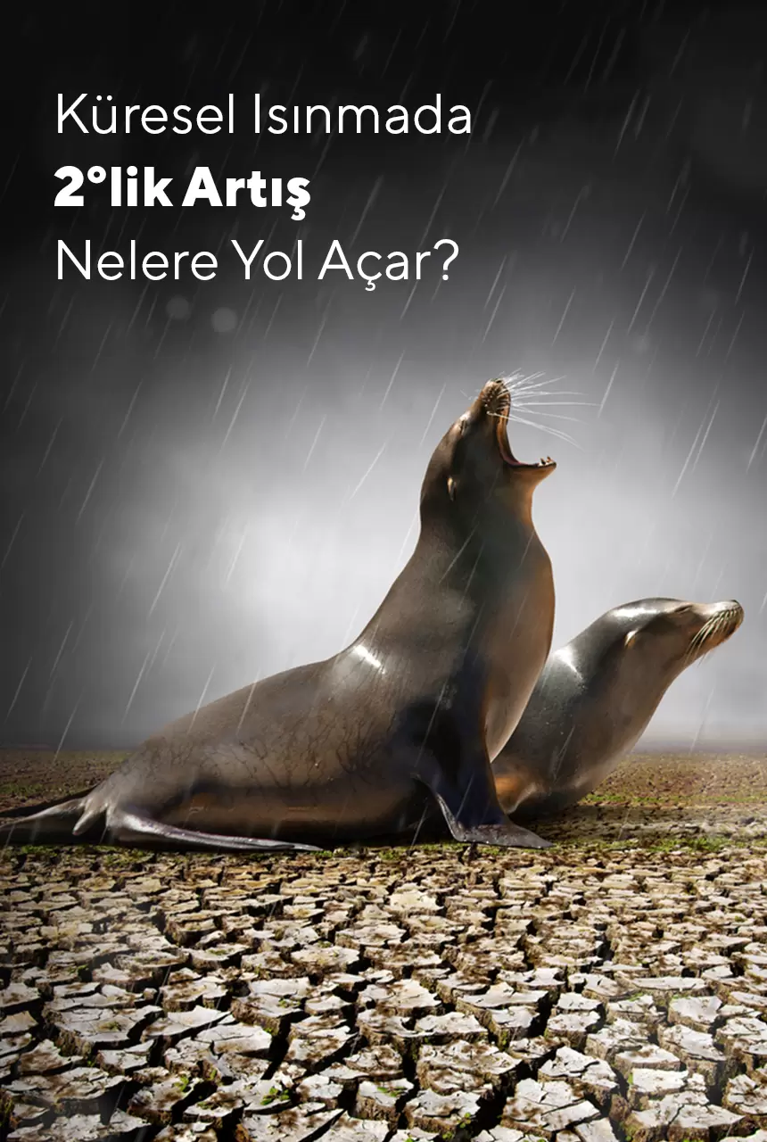Küresel Isınmada 2 Derecelik Artış Nelere Yol Açar?