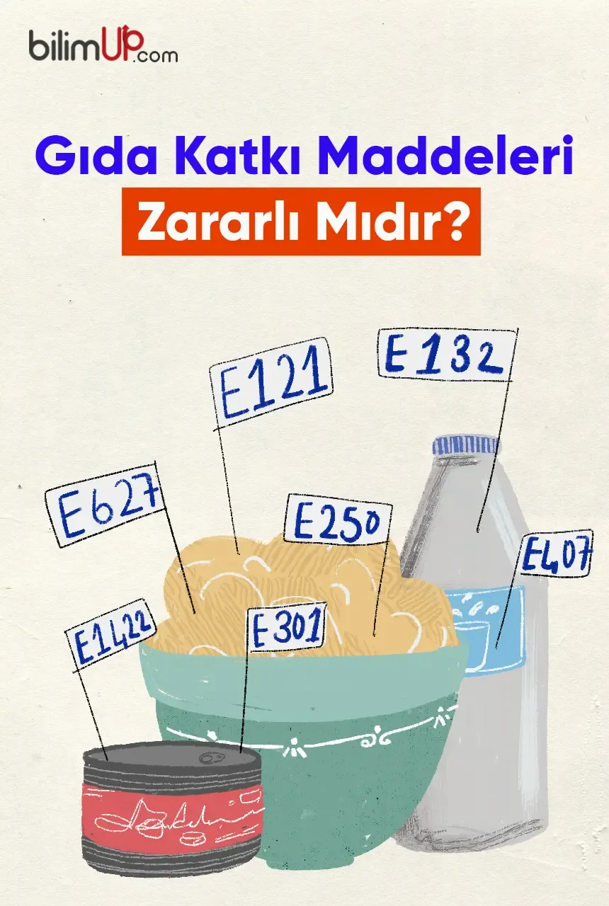 Gıda Katkı Maddeleri Zararlı Mıdır?