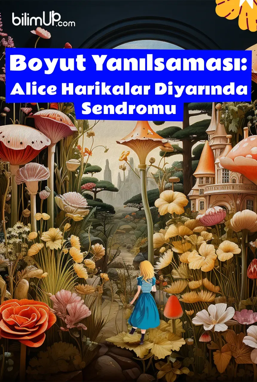 Boyut Yanılsaması, Alice Harikalar Diyarında Sendromu