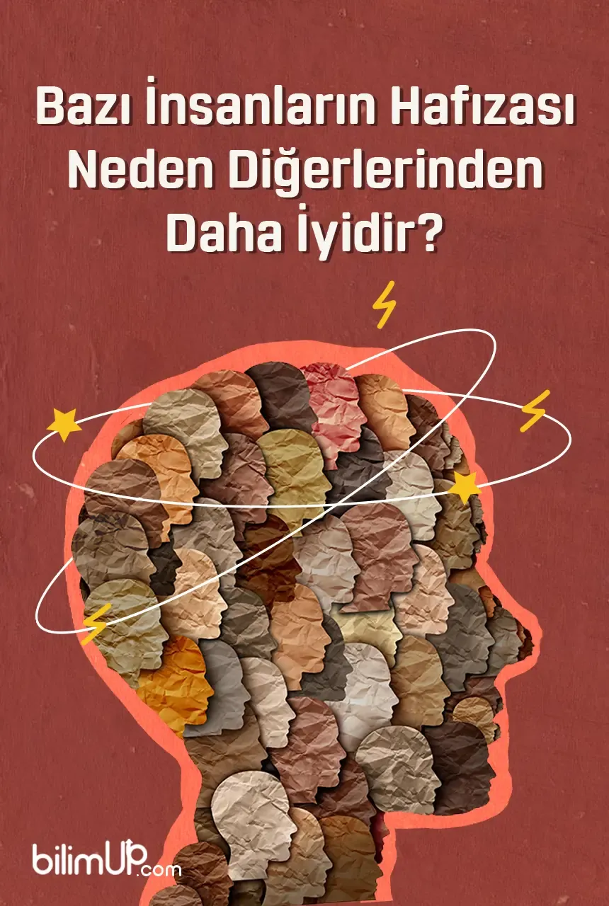 Bazı İnsanların Hafızası Neden Diğerlerinden Daha İyidir?