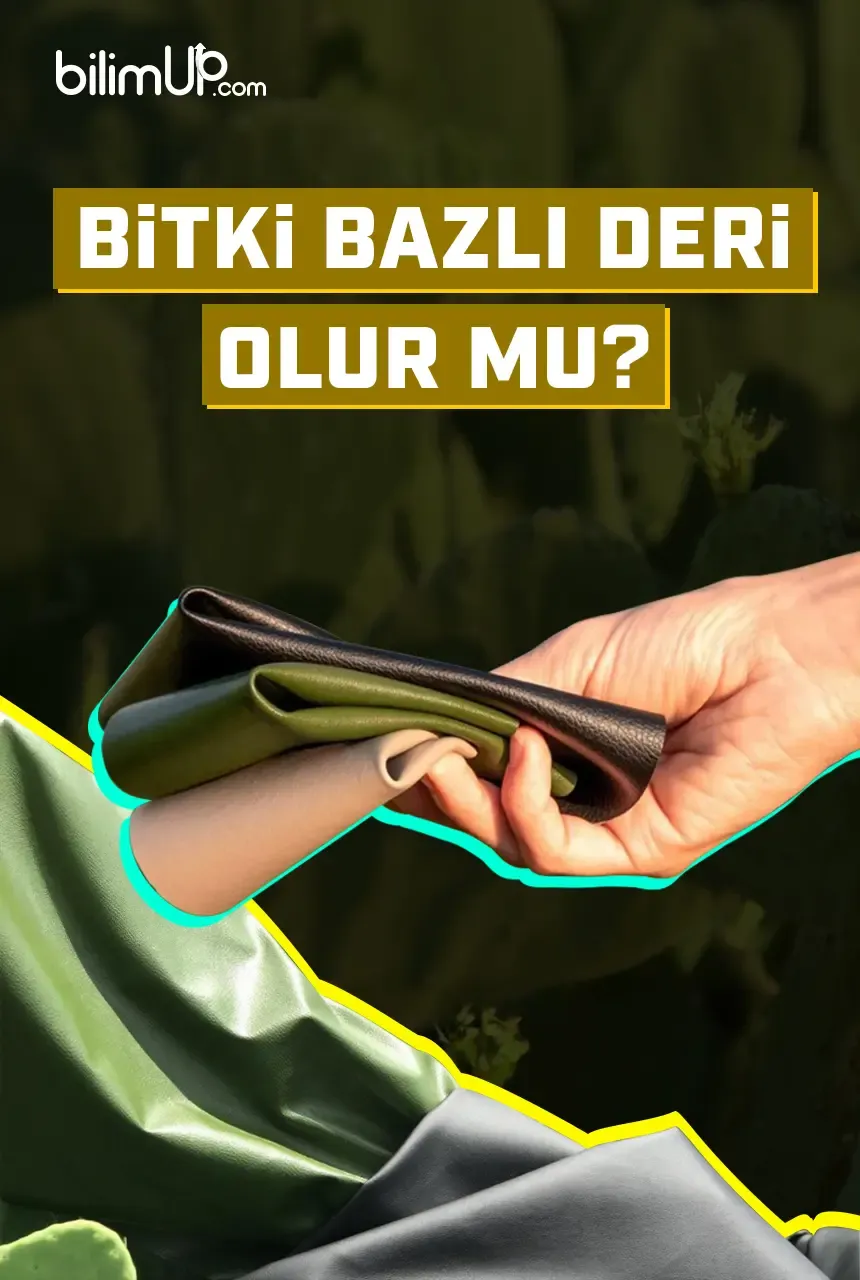 Bitki Bazlı Deri Olur Mu?