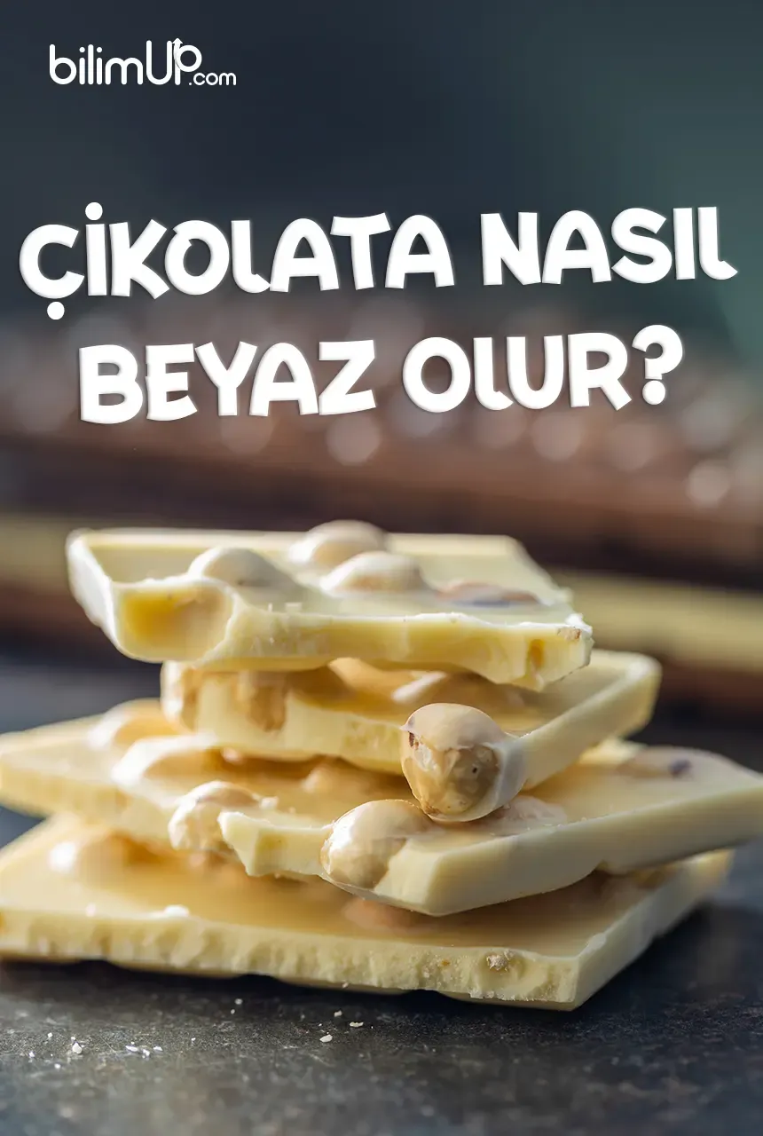 Çikolata Nasıl Beyaz Olur? Beyaz Çikolata Nasıl Yapılır?