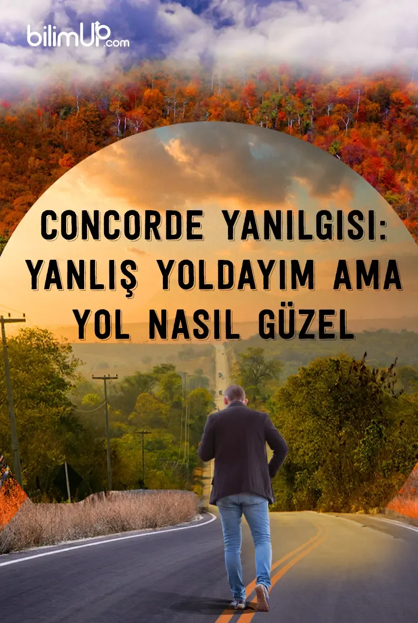 Concorde Yanılgısı: Yanlış Yoldayım Ama Yol Nasıl Güzel