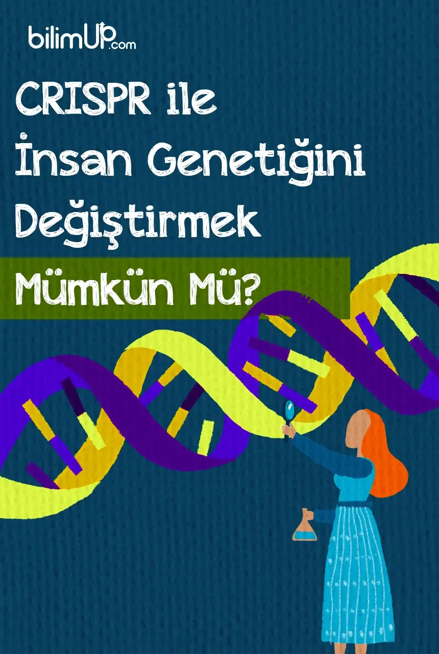CRISPR ile İnsan Genetiğini Değiştirmek Mümkün Mü?