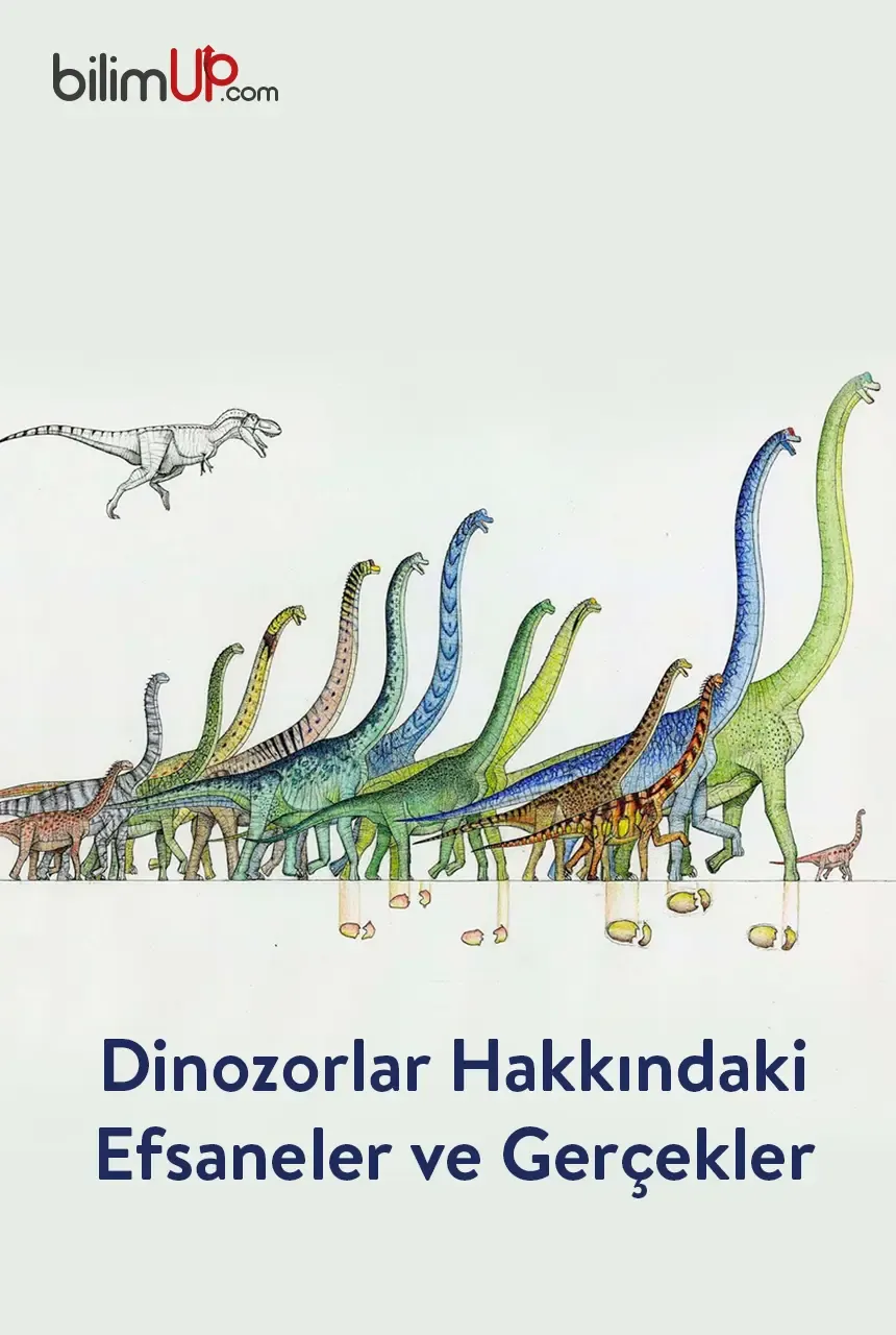 Dinozorlar Hakkındaki Efsaneler ve Gerçekler