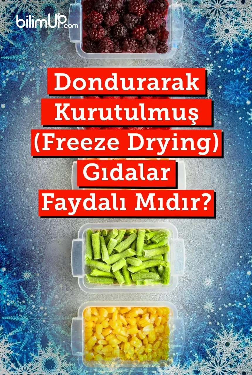 Dondurarak Kurutulmuş (Freeze Drying) Gıdalar Faydalı Mıdır?