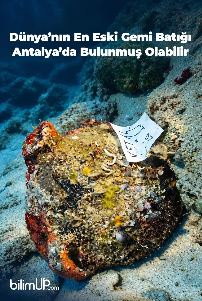 Antalya'da 4.700 Yıllık Gemi Batığı Keşfedildi