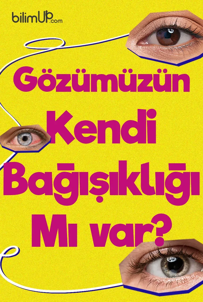 Gözümüzün kendi bağışıklığı mı var?