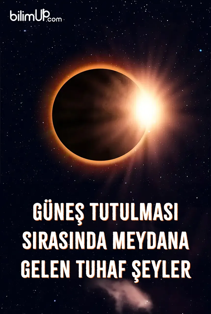 Güneş Tutulması Sırasında Meydana Gelen Tuhaf Şeyler