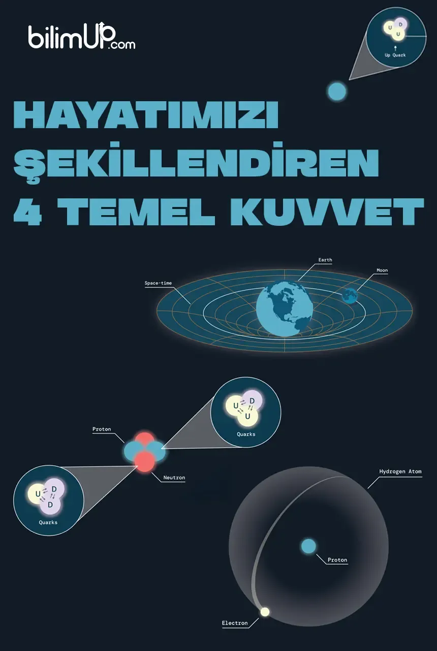 Hayatımızı Şekillendiren 4 Temel Kuvvet