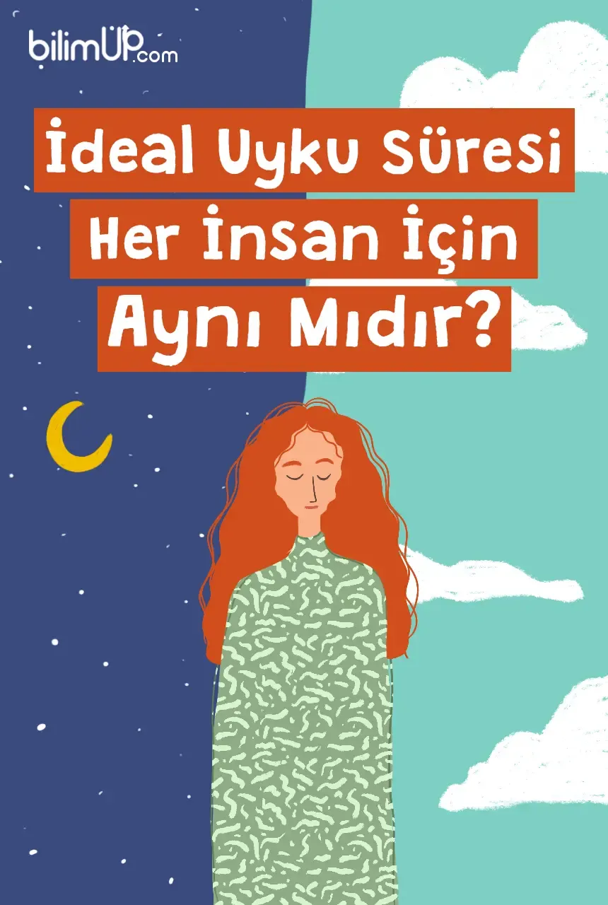 İdeal Uyku Süresi Her İnsan İçin Aynı Mıdır?