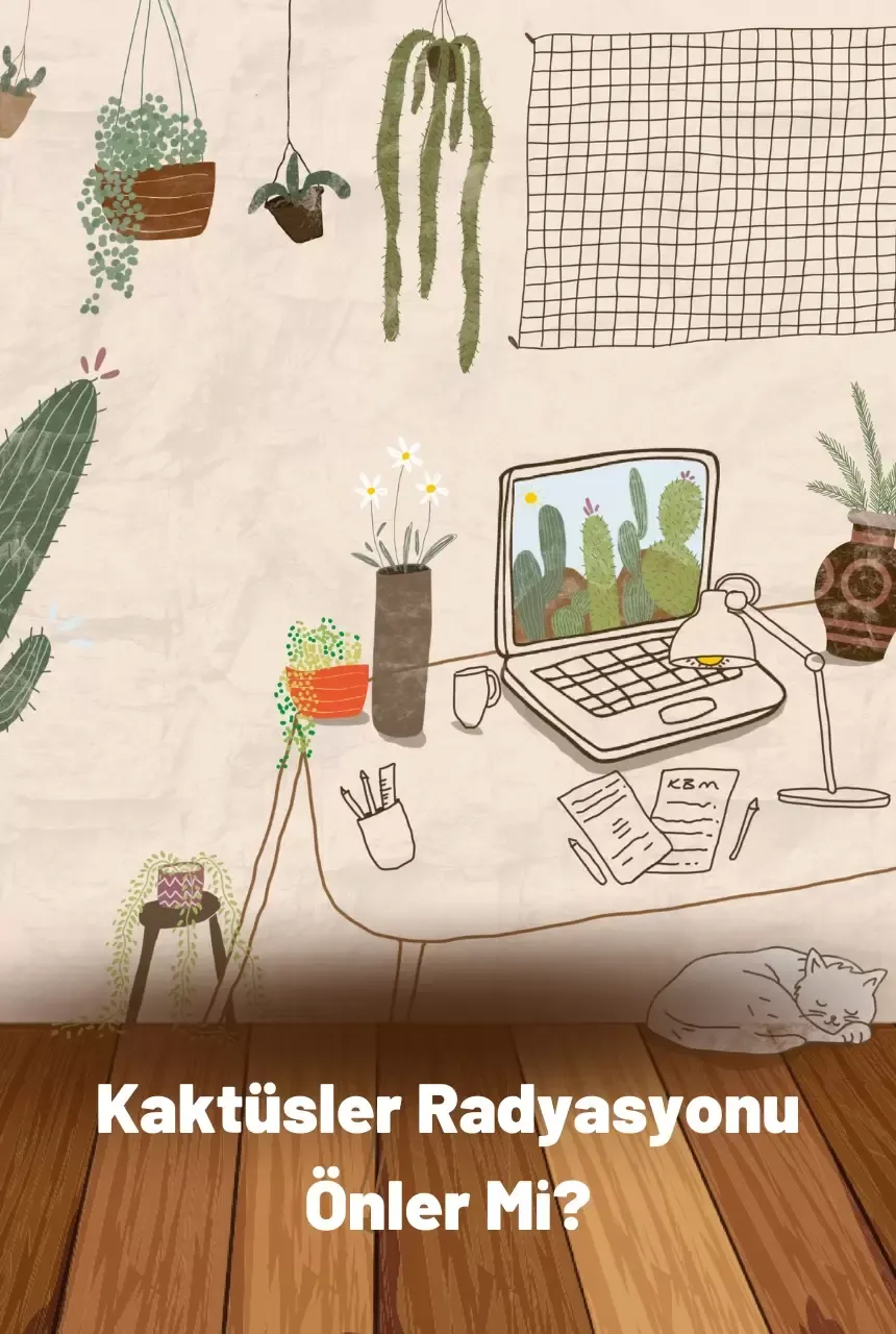 Kaktüsler Radyasyonu Önler Mi?