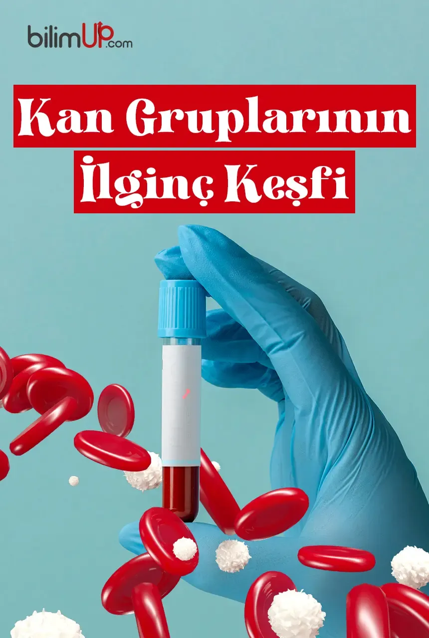 Kan Gruplarının İlginç Keşfi