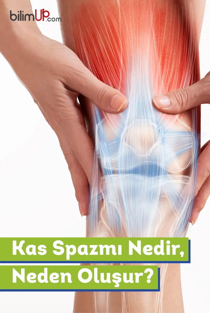 Kas Spazmı Nedir, Neden Oluşur?