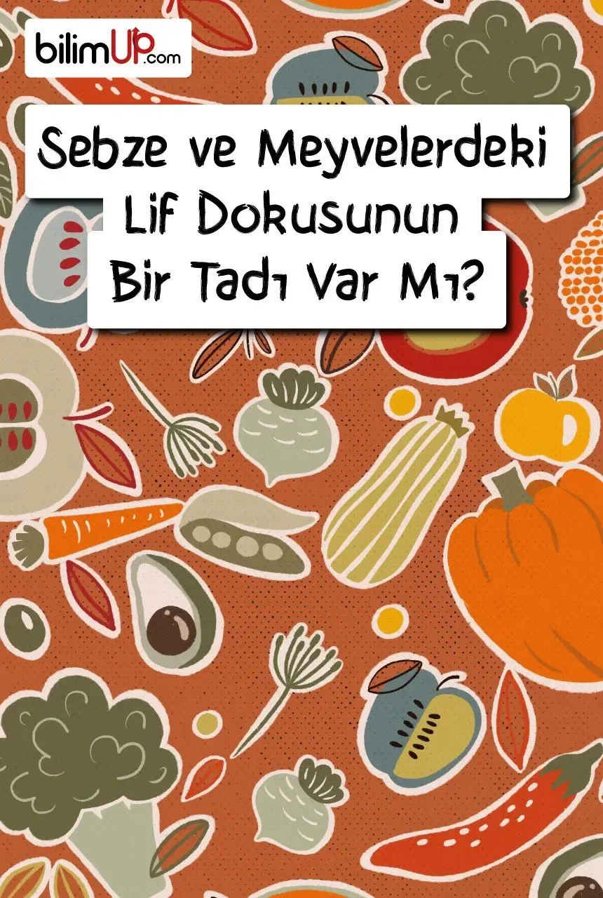 Sebze ve Meyvelerdeki Lif Dokusunun Bir Tadı Var Mı?