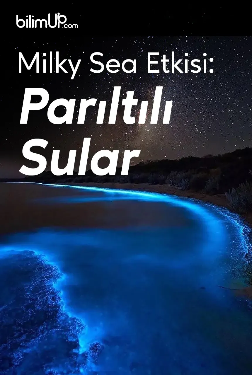 Milky Sea Etkisi: Parıltılı Sular