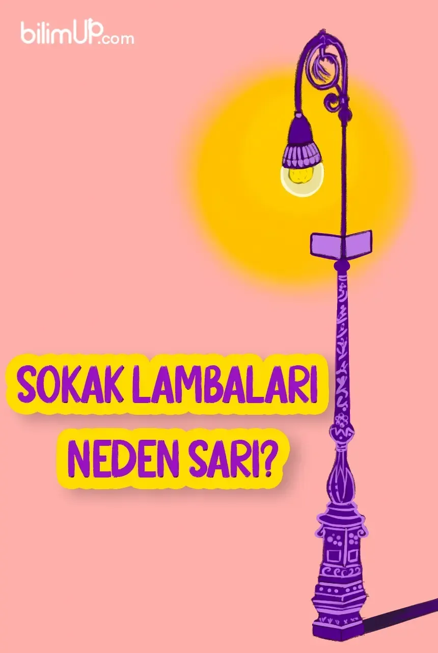 Sokak Lambaları Neden Sarı?