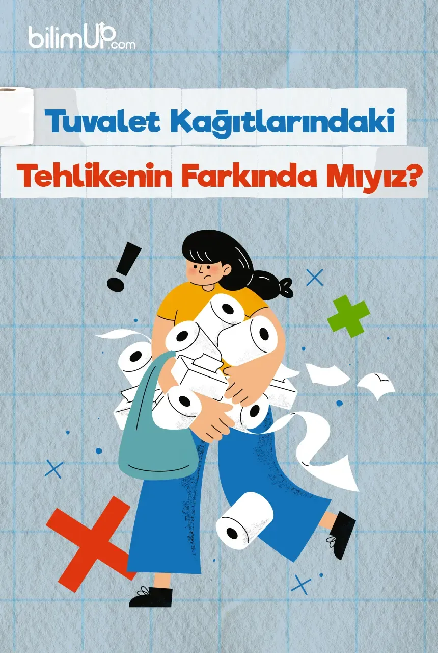Tuvalet Kağıtlarındaki Tehlikenin Farkında Mıyız?