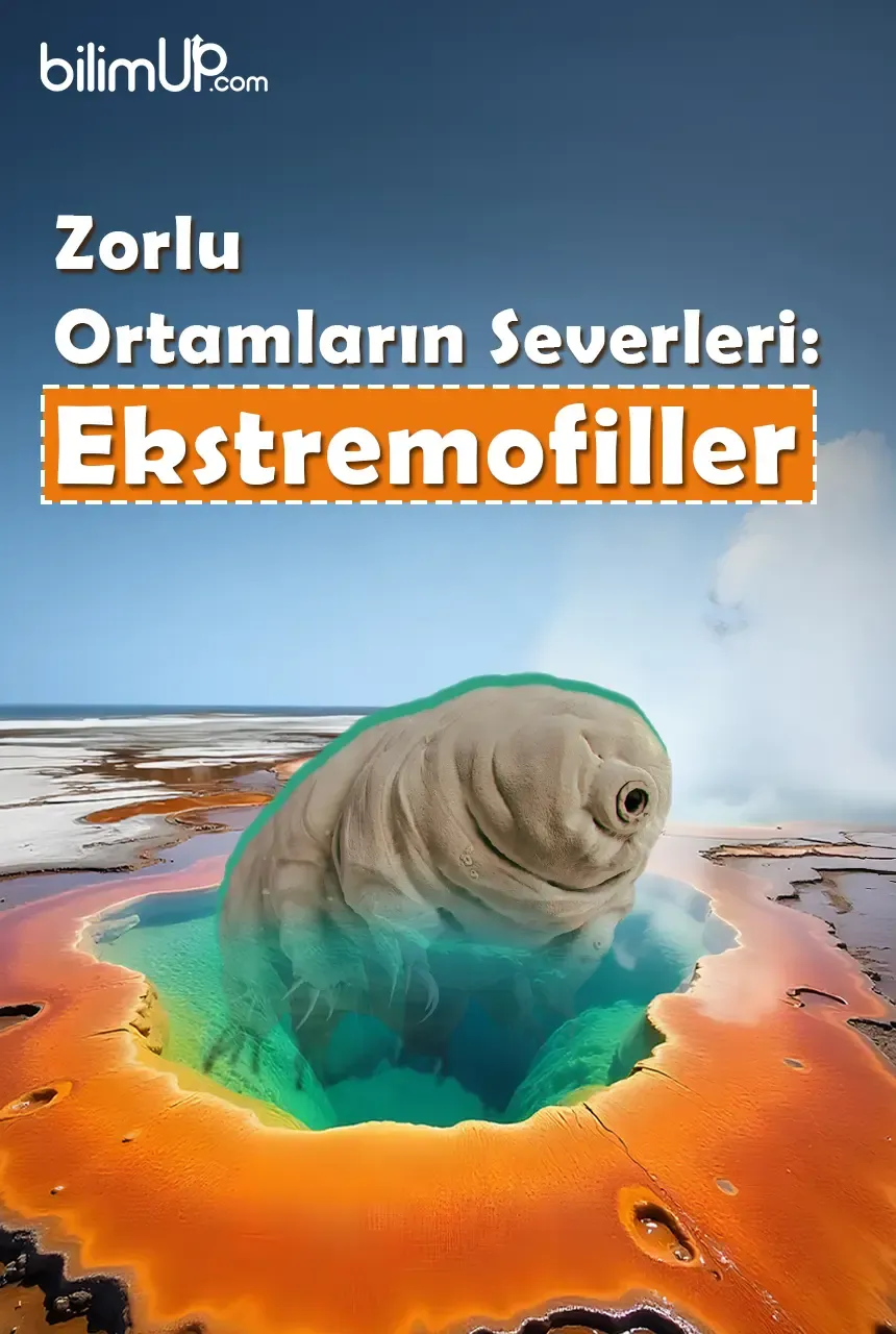 Zorlu Ortamların Severleri: Ekstremofiller