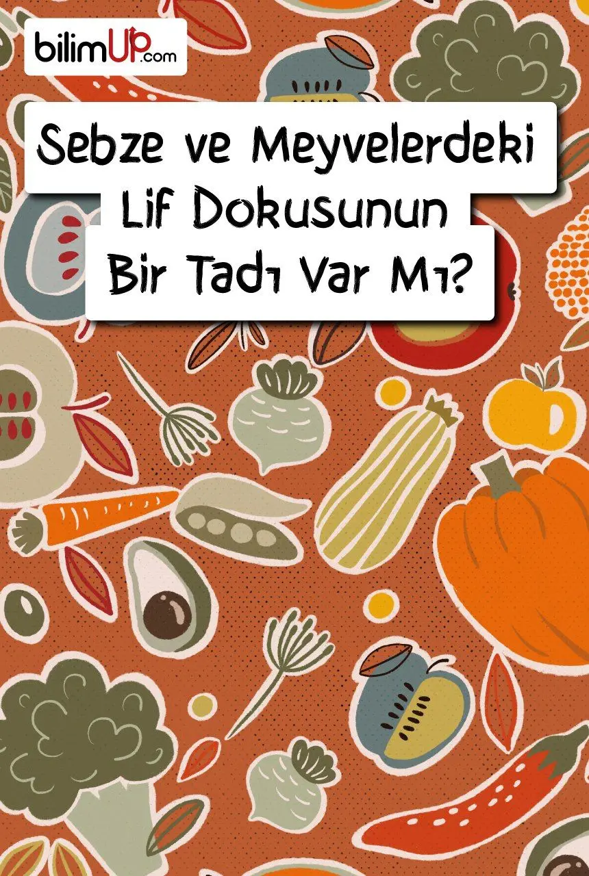 Sebze ve Meyvelerdeki Lif Dokusunun Bir Tadı Var Mı?