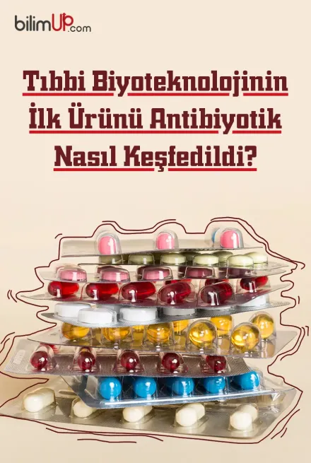 Tıbbi Biyoteknolojinin İlk Ürünü Antibiyotik Nasıl Keşfedildi?