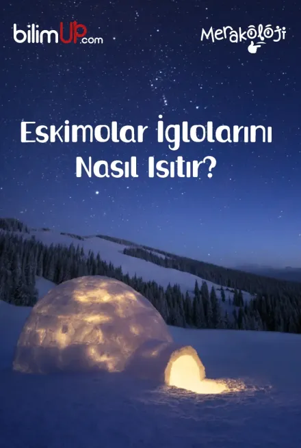 Eskimolar İglolarını Nasıl Isıtır?